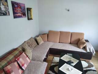 Апартаменты Korisno Жабляк Апартаменты с 1 спальней-21