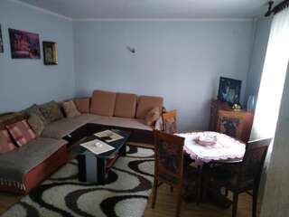 Апартаменты Korisno Жабляк Апартаменты с 1 спальней-45