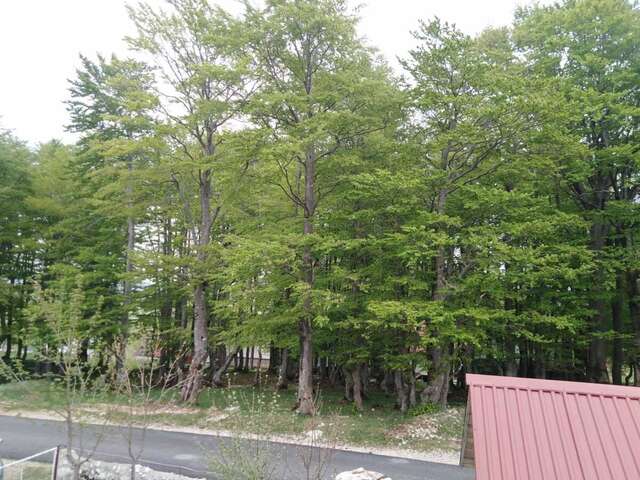 Апартаменты Korisno Жабляк-12