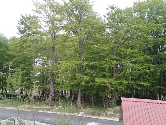 Апартаменты Korisno Жабляк-35